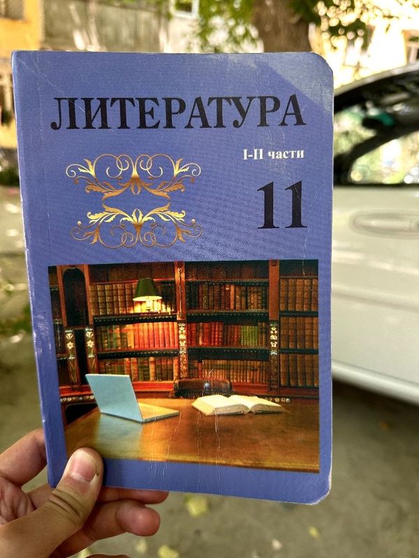 книга по литературе 11 класс 1-2часть (без печати)
