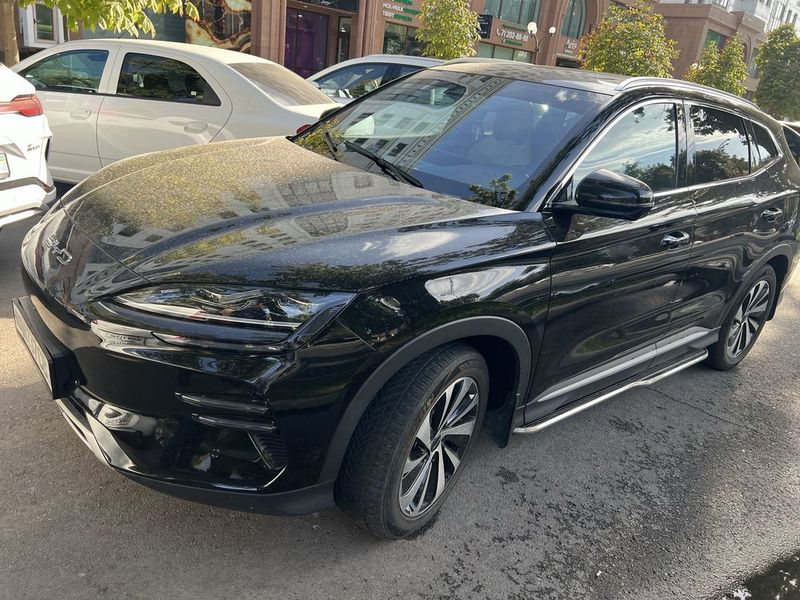 Эгасидан Byd Chempion EV Honor
