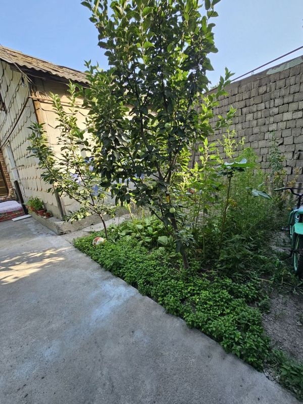 ПРОДАМ КОТЕДЖ, Сергели. 1,6/ 3/ком 1/ этажный ПРОДАМ КОТЕДЖ, Сергели. 1,6/ 3/ком 1/ этажный