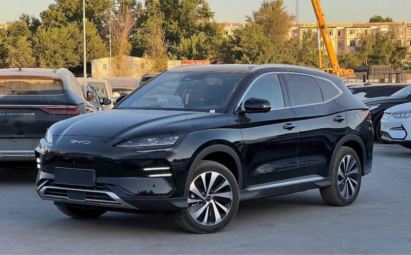 BYD Chempion honor 2024-24 BYD Chempion honor 2024-24