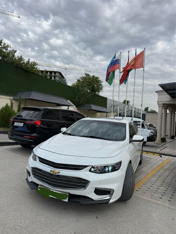 Malibu 2.4 2019 yil 204.000 km