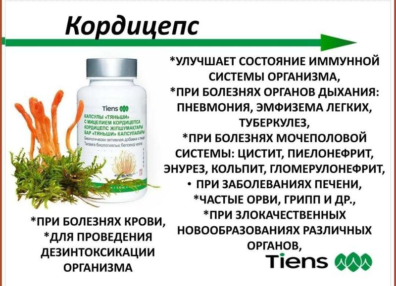 Кордицепс Тяньши для укрепления иммунитета Кордицепс Тяньши для укрепления иммунитета