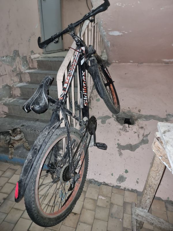 Velik 26 gonchik