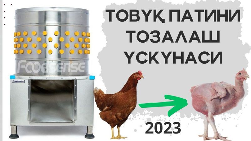 Товук патини тозалаш ускунаси, Tovuq va Bedana patini tozalash uskunas