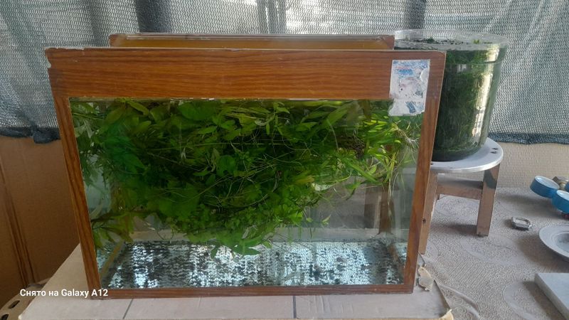 Продам три аквариума