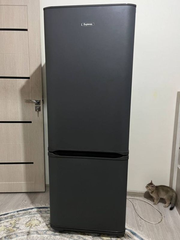 Biryusa ideal holatda Biryusa ideal holatda