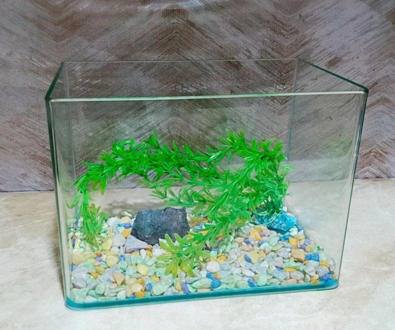 Akvarium sotiladi