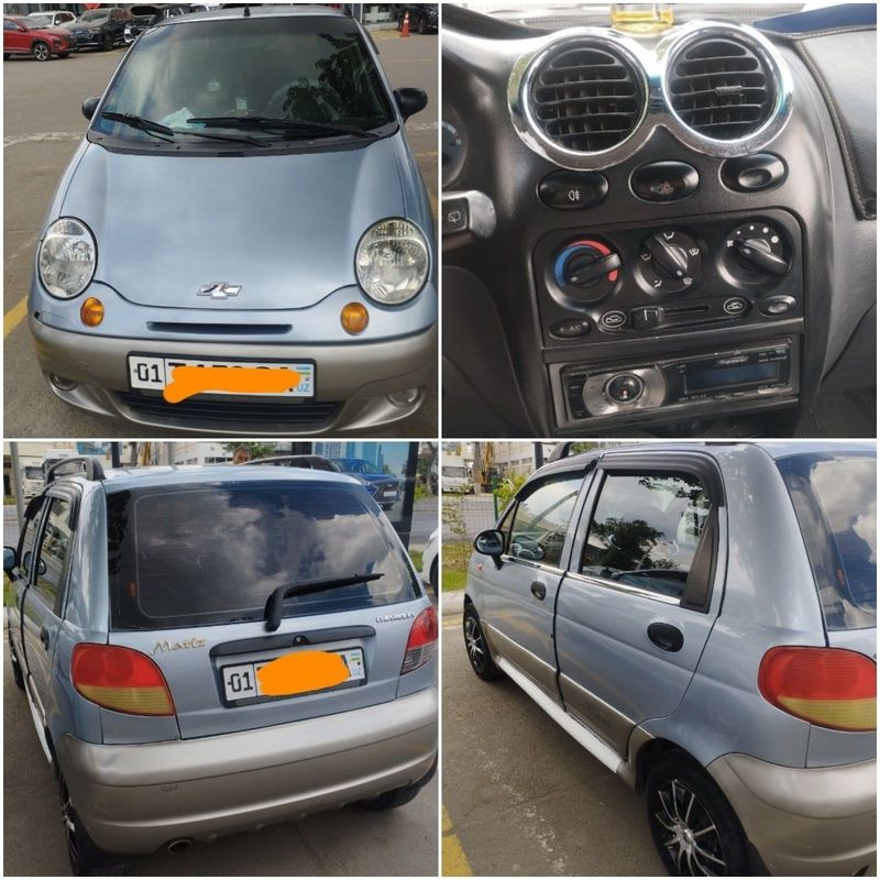 Matiz best delfin Matiz best delfin