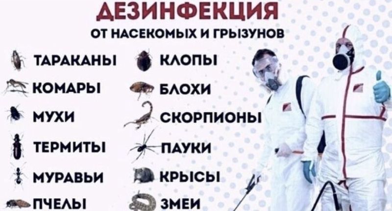 Дезенфекция дизенфекция дезинфекция дизинфекция dizinfeksiya Дезенфекция дизенфекция дезинфекция дизинфекция dizinfeksiya