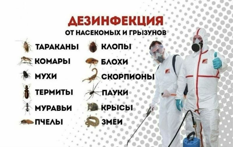 Дизенфекция 24/7 с 100% гарантией Дизенфекция 24/7 с 100% гарантией