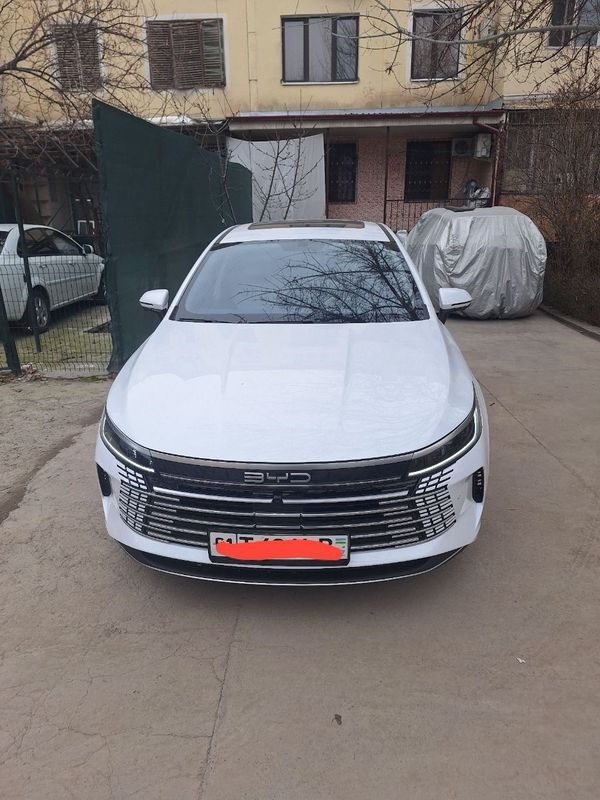 byd chazor 2024 белий