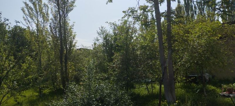 Продам дом с участком Продам дом с участком