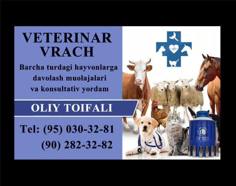 Veterinar vrach xizmati