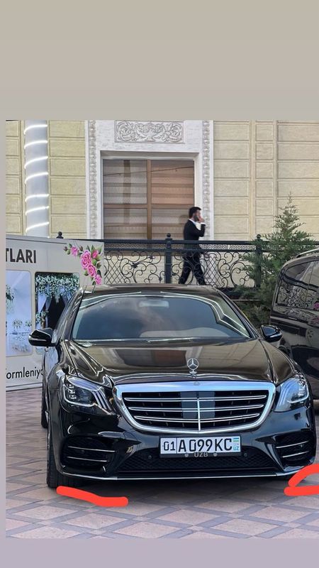 Mercedens bens w 221