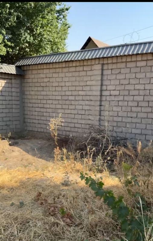 Продаю свою дачу в паркенте, 6сот , в дачном поселке