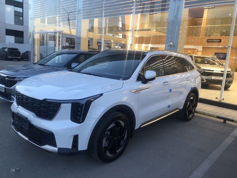 Kia sorento 2024 bez probeg