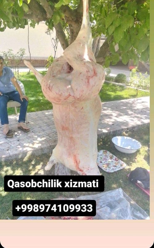 Hayitga qurbonlik