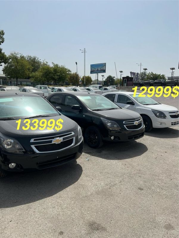 Cobalt midnight 2025 Cobalt midnight 2025
