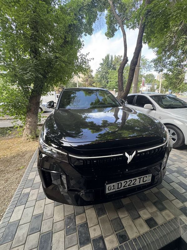 Voyah free 318 4 wd 2025 yili Voyah free 318 4 wd 2025 yili