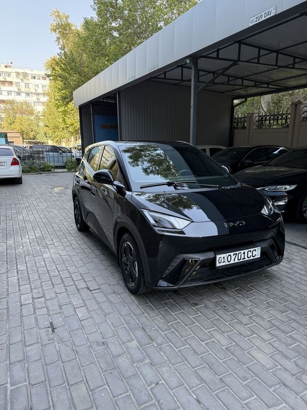 BYD seguall sotila 2024 yil 5500km yurgan