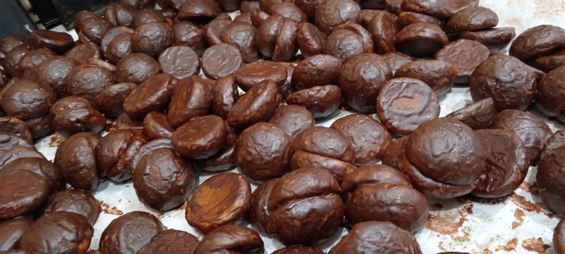 Prtaniklarni bir kunda o'rgataman