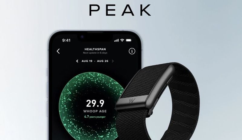 Whoop 5.0 Peak 1 год подписка Whoop 5.0 Peak 1 год подписка