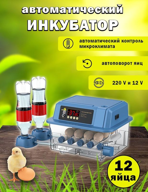 Инкубатор на 12 яиц Инкубатор на 12 яиц