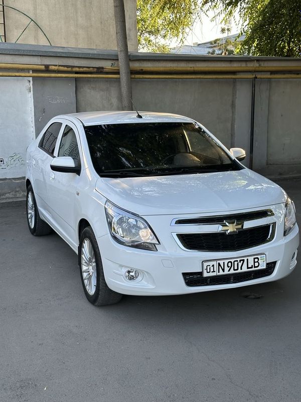 Cobalt arenda 2021 Cobalt arenda 2021