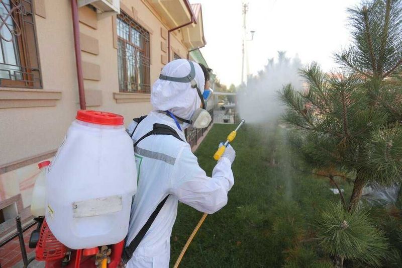 Дезинфекция Уничтожение тараканов клопов комаров Дезинфекция Уничтожение тараканов клопов комаров