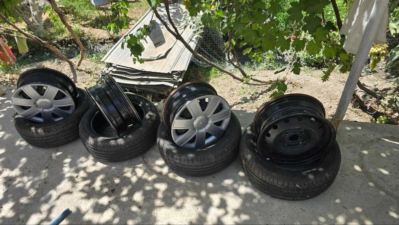 Жентра родной диска балони Жентра родной диска балони
