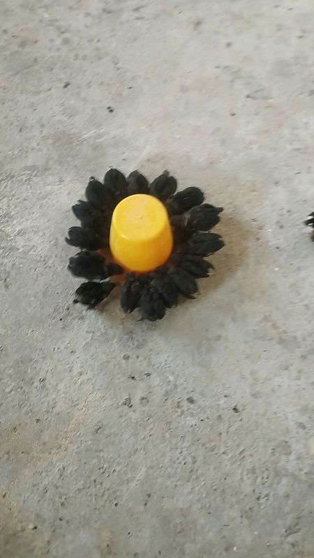 Andijon qora tovuq jujalari sotiladi
