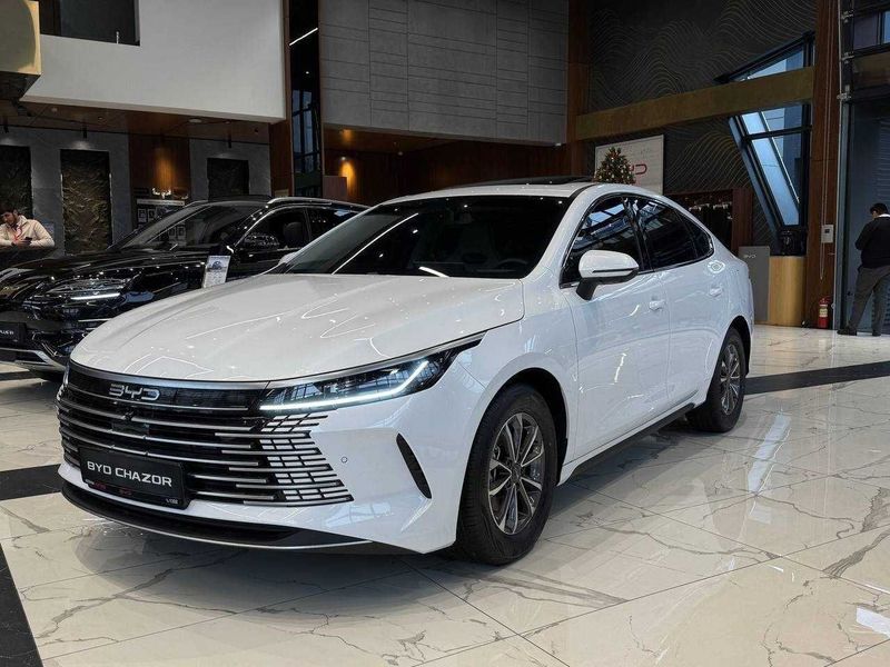 Byd chazor boshlangich 30% Byd chazor boshlangich 30%