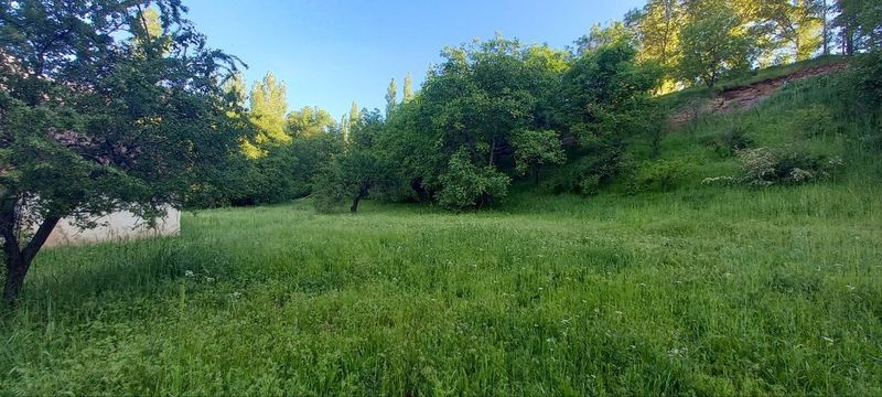 Böstonliq Sijjakda Hovli uy sotiladi Böstonliq Sijjakda Hovli uy sotiladi