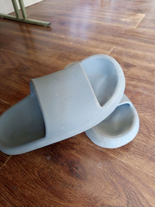 Turbo taoʻichka Turbo taoʻichka