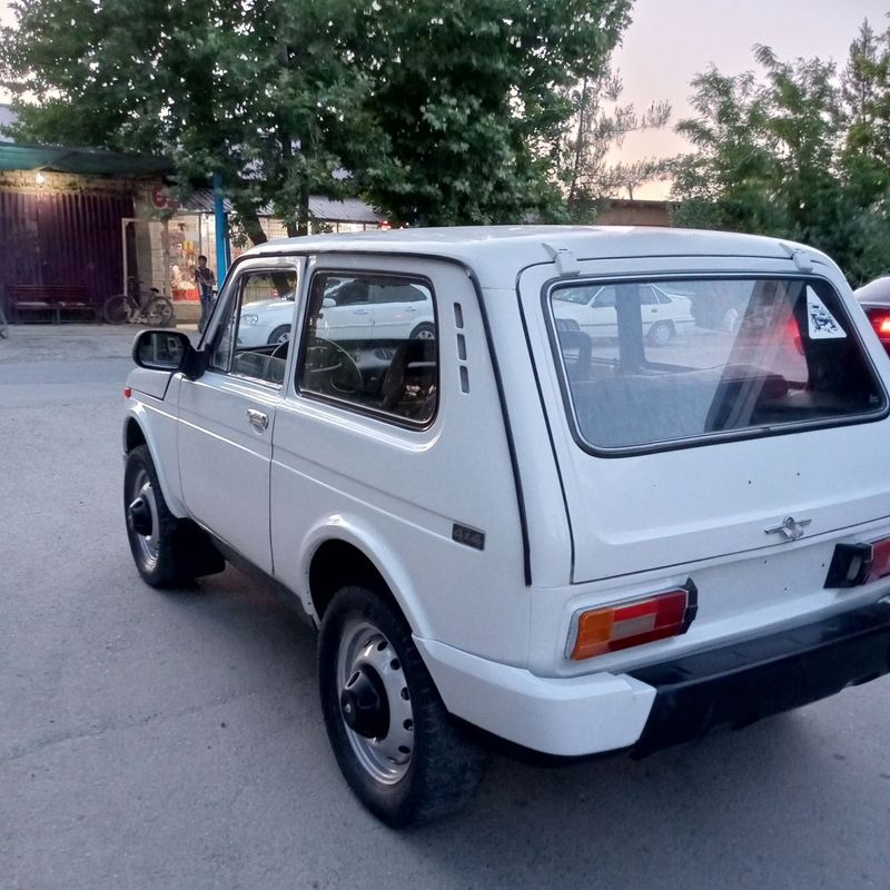 Niva 1987 yil xolati urtacha Niva 1987 yil xolati urtacha