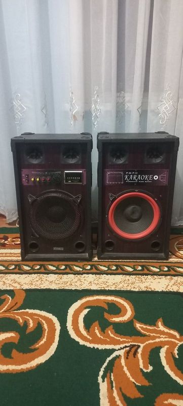 Karaoke p.m.p.o audio system