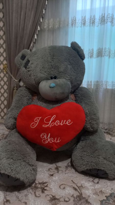 Teddy ayiq Teddy ayiq
