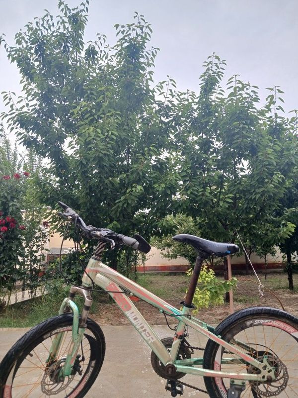 Velosipet sotiladi