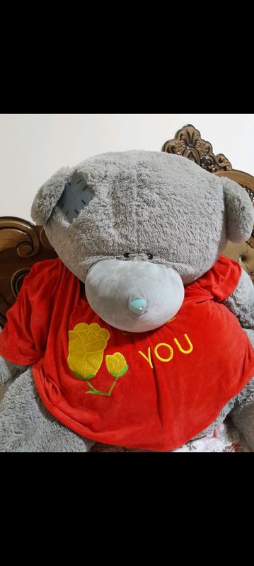 Teddy ayiq