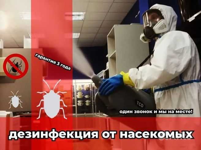 Дезинфекция. Дезинсекция. Дератизация. тараканы, клопы гарантия 12мес