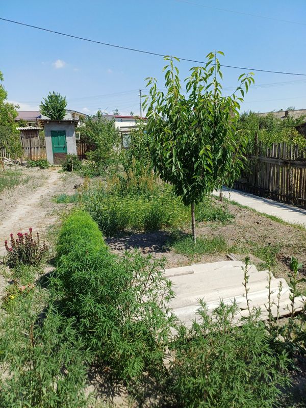 Продаётся дом янгихаетский район
