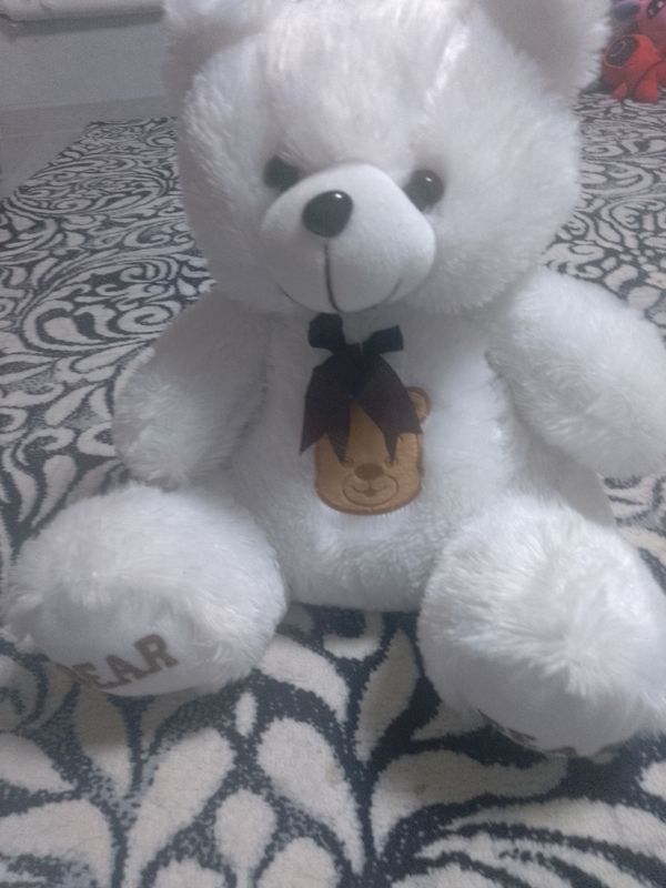 bear