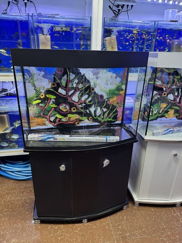 Akvarium 150- litrlik Akvarium 150- litrlik