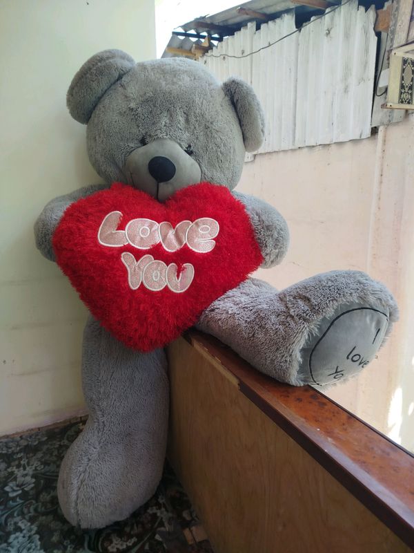 teddy katta teddy katta