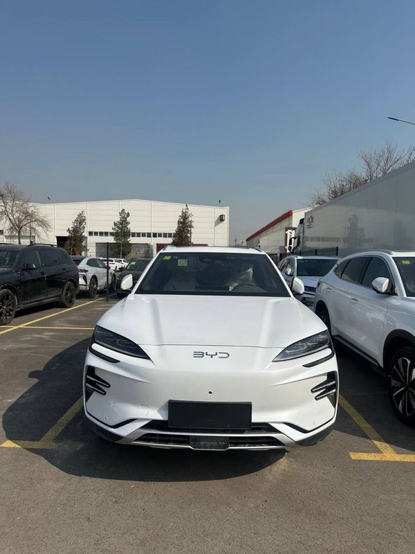 BYD Champion Smart Drive BYD Champion Smart Drive