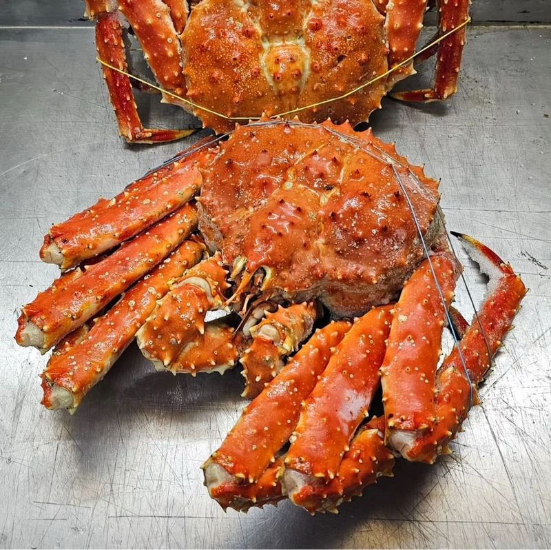 Камчатский краб,раки,креветки Камчатский краб,раки,креветки