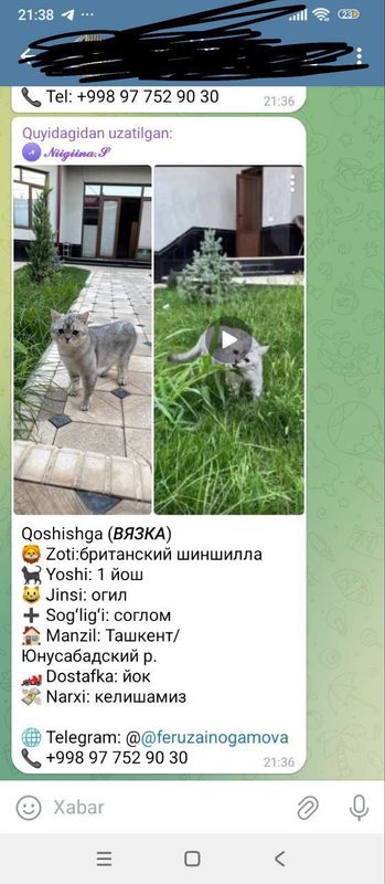 Qizlani uyimizga taklif qilamiza