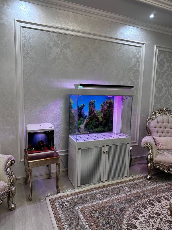 Zakas Asosida Akvarium tayyorlab beramiza Zakas Asosida Akvarium tayyorlab beramiza