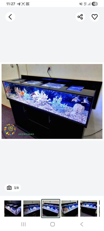Akvarium tozalash hizmati Akvarium tozalash hizmati