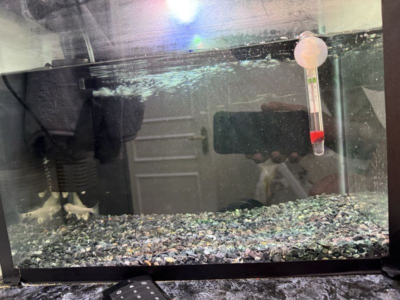 Akvarium va baliqlar sotiladi Akvarium va baliqlar sotiladi